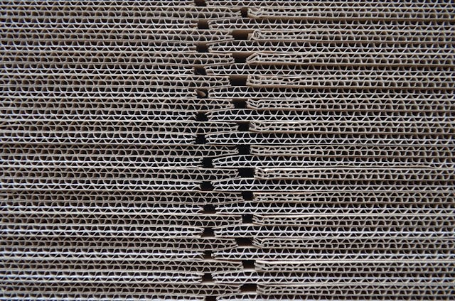 pexels-simon-potts-1793151102-28316095.jpg